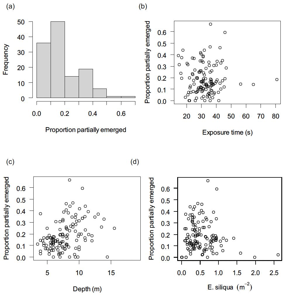 Two of four plots showing the frequency distribution of partial emergence rates for razor clams from the Clyde survey, and the partial emergence rates plotted against exposure time to the electrical field, on each tow. There were no obviously strong relationships although some suggestion of a positive link with water depth. Two of four plots showing the partial emergence rates plotted against water depth at the time of sampling and the average density of Ensis siliqua on each tow. There were no obviously strong relationships although some suggestion of a positive link with water depth.