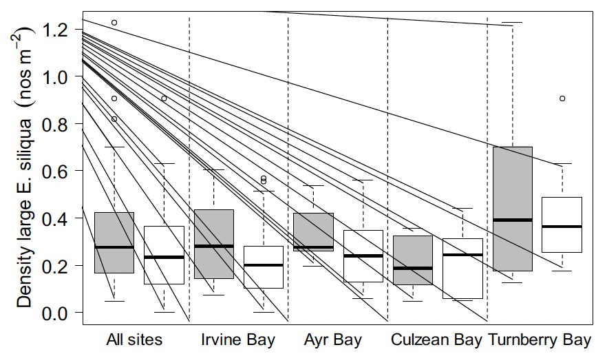 Boxplots of the densities of large size Ensis siliqua by site and comparing results from the 2017 and 2023 Ayrshire coast, Firth of Clyde surveys. The plots show that the median densities of razor clams larger than 150 millimetres shell length have declined when averaged across all the surveyed sites, and within Irvine, Ayr and Turnberry Bays. However, for Culzean Bay there was a slight increase in the median density of large size razors.