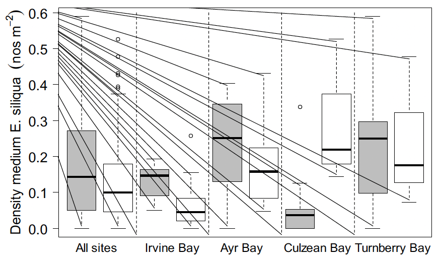 Boxplots of the densities of medium size Ensis siliqua by site and comparing results from the 2017 and 2023 Ayrshire coast, Firth of Clyde surveys. The plots show that the median densities of razor clams sized 100 to 150 millimetres shell length have declined when averaged across all the surveyed sites, and within Irvine, Ayr and Turnberry Bays. However, for Culzean Bay there was a reasonably large increase in the median density of medium size razors.