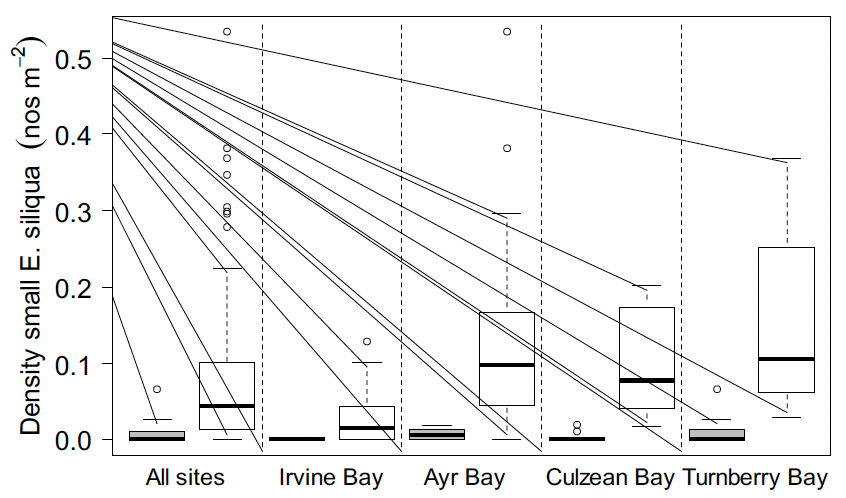 Boxplots of the densities of small size Ensis siliqua by site and comparing results from the 2017 and 2023 Ayrshire coast, Firth of Clyde surveys. The plots show that the median densities of razor clams smaller than 100 millimetres shell length have increased when averaged across all the surveyed sites, and within Irvine, Ayr, Culzean and Turnberry Bays.