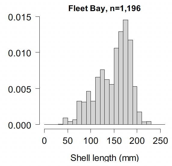 Density histogram showing the Ensis siliqua shell length distributions as reconstructed from the videos recorded during the Fleet Bay, Solway survey. The plot suggests the presence of four length modes, one at around 40 to 50; a second around 90 to 100; a third around 120 to 130, and a fourth around 170 to 180 millimetres.