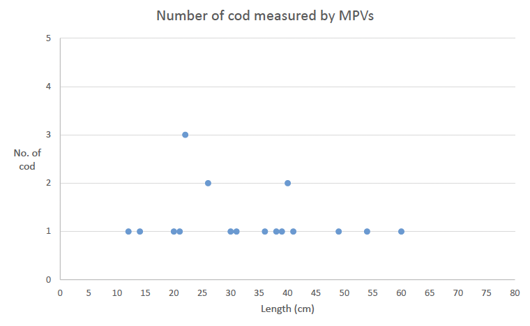 A graph showing number of cod measured and size in centimetres during the 2024 closure period.