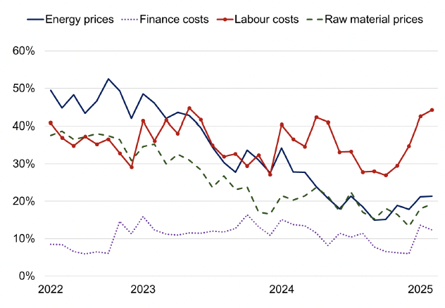 Line chart showing that energy prices and more recently labour costs have been the main factors causing businesses to consider raising prices.