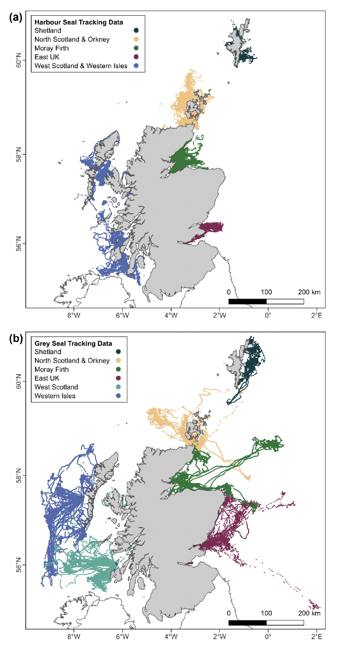 Maps of tracking data for harbour and grey seals hauling out in Scotland, colour coded by habitat preference region.