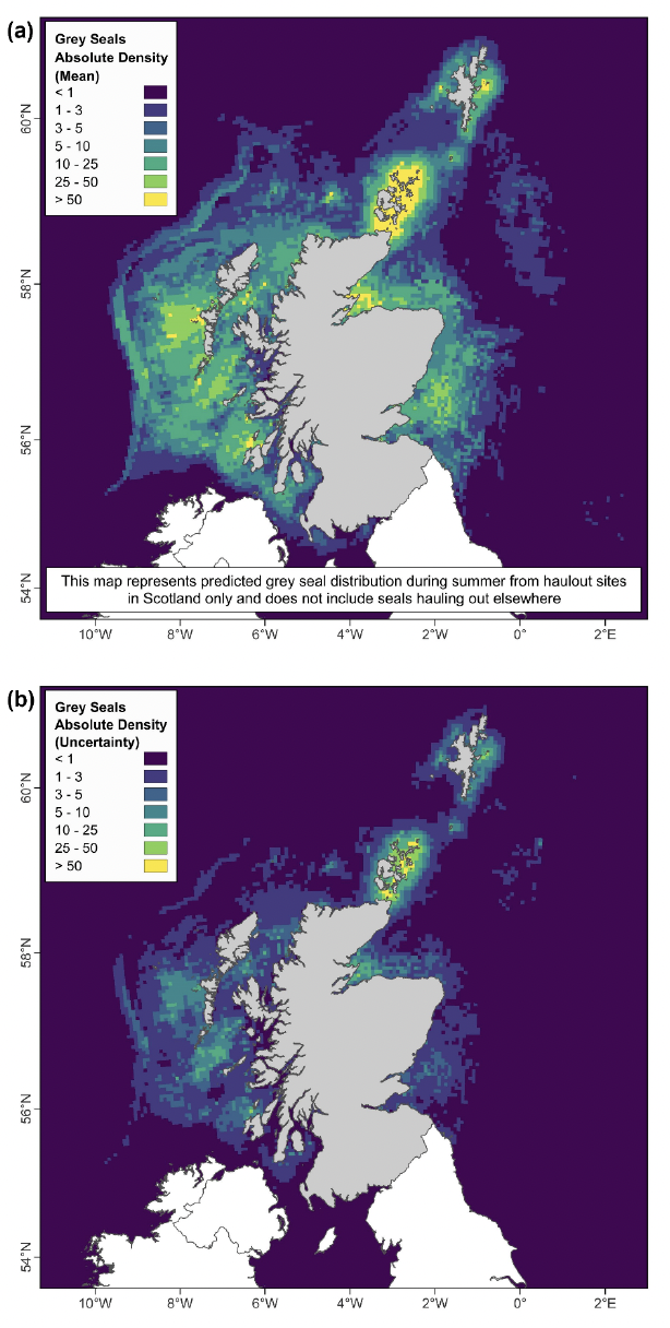 A panel plot of maps showing (a) predicted mean number of grey seals per 5 km x 5 km cell and (b) uncertainty in these predictions