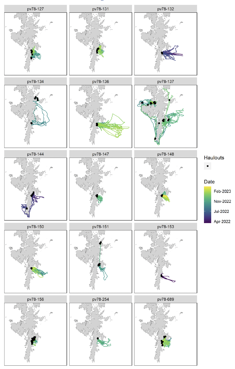 Maps of harbour seal tracks for seals tagged in Southeast Shetland, colour coded by date