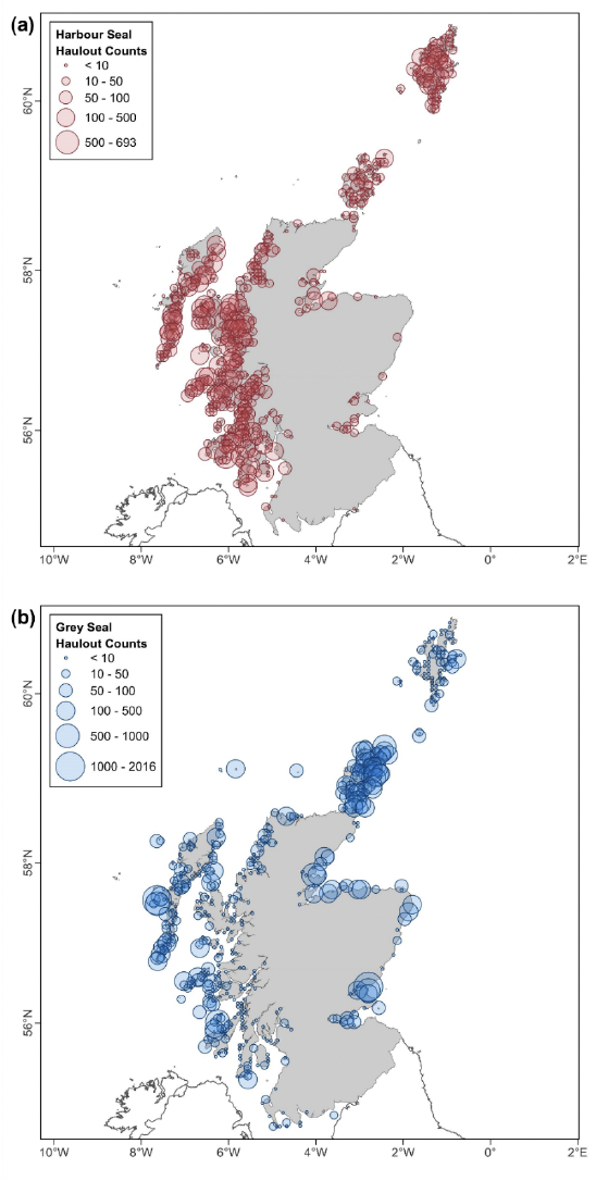 A panel plot with maps of Scotland showing most recent haulout counts for (a) harbour and (b) grey seals, with point size graded according to the number of seals counted