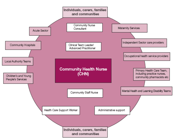 2 INTRODUCTION Study Of The Implementation Of A New Community Health 