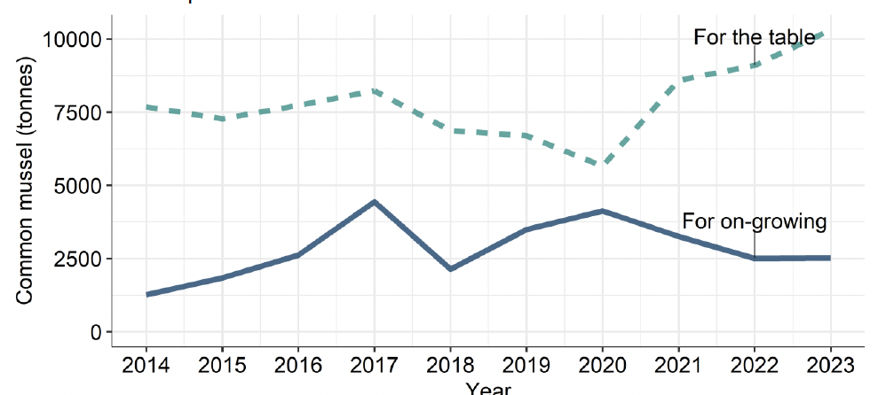 Chart 1 showing line graph of trends in common mussel production (in tonnes) 2014-2023. Upper turquoise dashed line shows production for table, lower solid line production for on-growing. Values for this chart are available in supplementary data - Table 2.