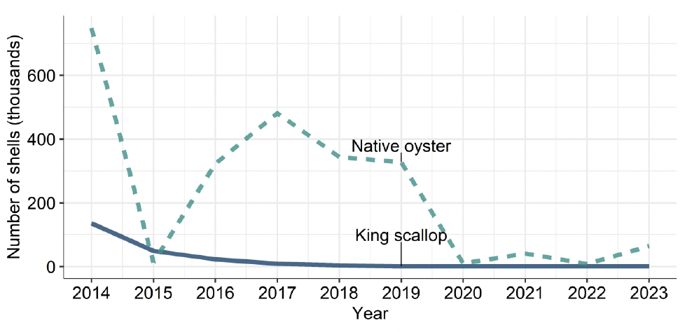 Chart 4 showing line graph of trends in other species production for on-growing. Upper turquoise dashed line shows production for native oyster, lower solid line production for king scallop. Values for this chart are available in supplementary data - Table 2.