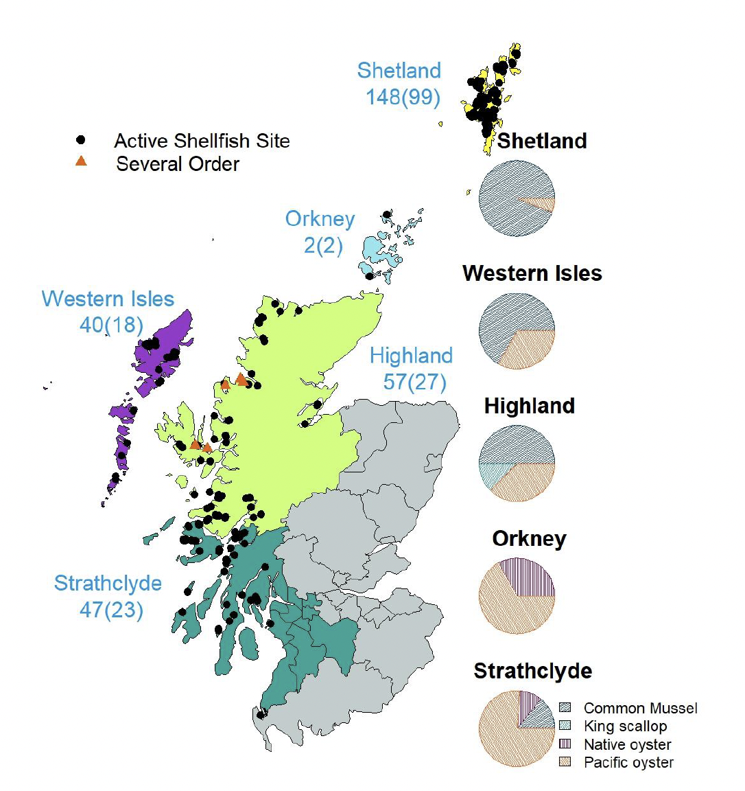 Figure 1 showing a map of the regional distribution of active shellfish sites in Scotland in 2023, and number of producing businesses by region and species. The map is split into five areas: Shetland, Orkney, Western Isles, Highland and Strathclyde and has black dots showing where each site is on the map. There are also five orange triangles showing the location of the Several Order which are currently in place for scallop fisheries, these are all located in the Highland region. Pie charts to the right in the figure, show ratios of species by producing businesses for each region. Species covered in pie charts are common mussel, king scallop, native oyster and Pacific oyster.
