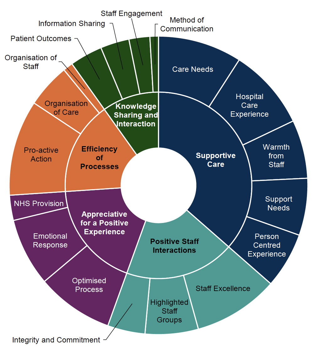 Clustered donut chart showing the proportion of positive comments by theme and sub-theme. Supportive Care was the largest theme identified within the analysis of positive comments.