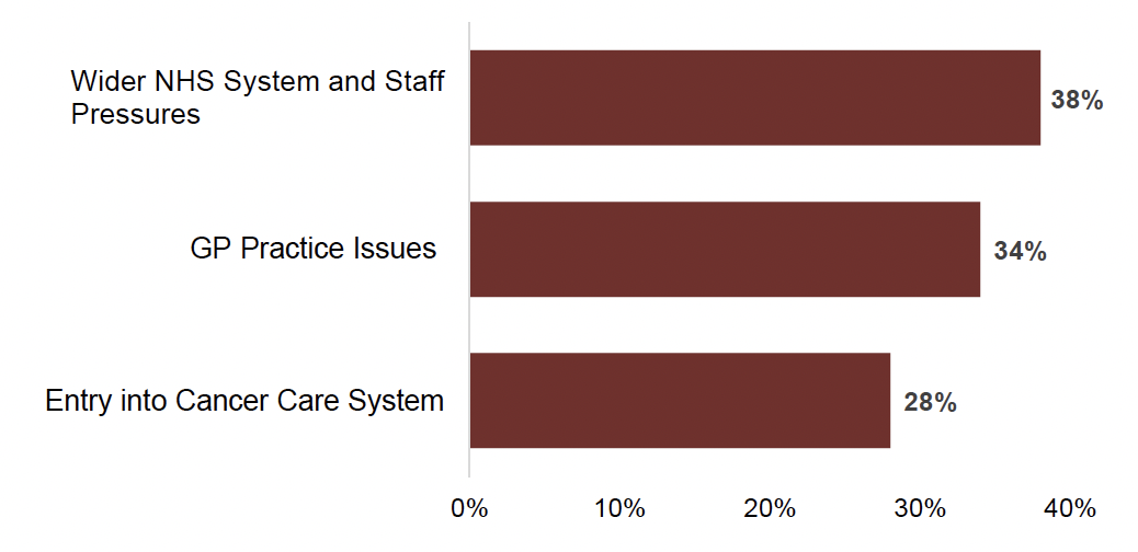 Horizontal bar chart showing the sub-themes within the System Difficulties and Barriers to Care theme. 38% of comments within System Difficulties and Barriers to Care mentioned pressures they had identified throughout their care journey – either on staff, the healthcare system or both. 