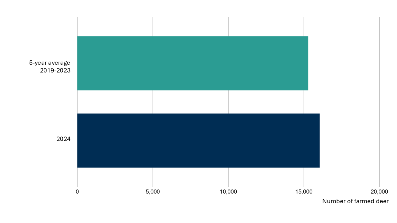 Bar chart with two bars comparing farmed deer numbers for a five year period between 2019 and 2023 (15,300 deer) and 2024 (16,000 deer).