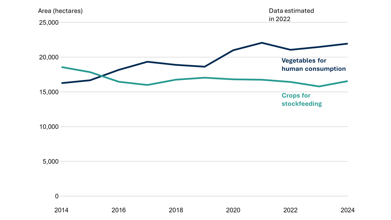 Line chart of vegetables for human consumption and stockfeed between 2014 and 2024. Lines in 2014 show crops for stockfeed have a larger area (18,600 hectares) than vegetables for human consumption (16,300 hectares). In 2016 the lines cross and vegetables for human consumption becomes greater. In 2024 vegetables for human consumption was 22,000 hectares whereas crops for stockfeed was 16,600 hectares.