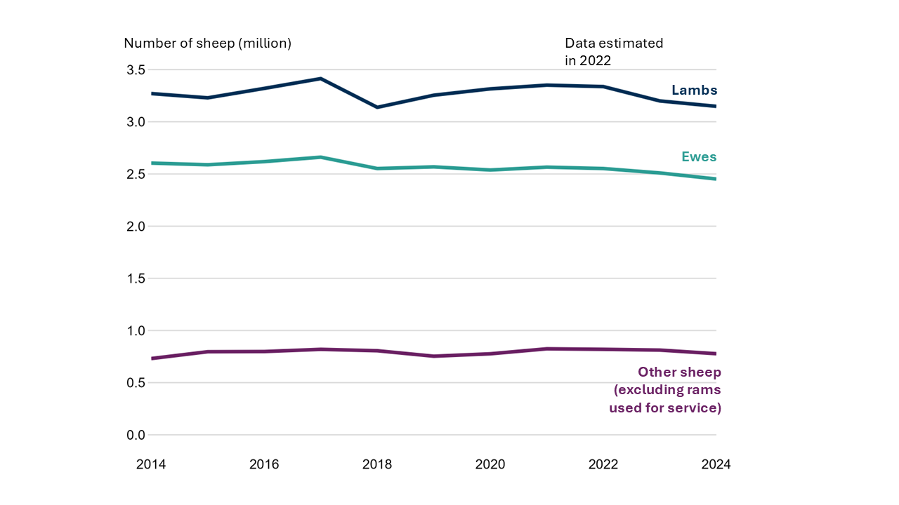 Line chart with three lines to show the change in lambs, ewes and other sheep between 2014 and 2024. Lamb numbers have fluctuated between 2014 and 2024 and stood at 3.15 million in 2024. The number of ewes has decreased from 2.60 million in 2014 to 2.45 million in 2024. ‘Other sheep’ over the same period have remained around 0.78 million.