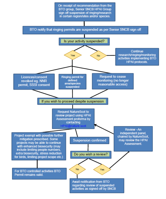 A flow diagram showing the process for suspension of ringing and research activities in areas of HPAI in Scotland