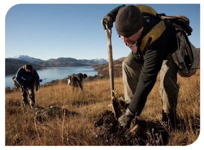 Three workers treeplanting on a hillside