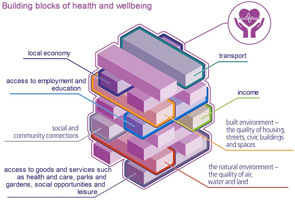 The building blocks of health and wellbeing are local economy, access to employment and education, social and community connections, transport, income, built environment, natural environment, and access to goods and services such as health and care, parks and gardens, social opportunities and leisure.