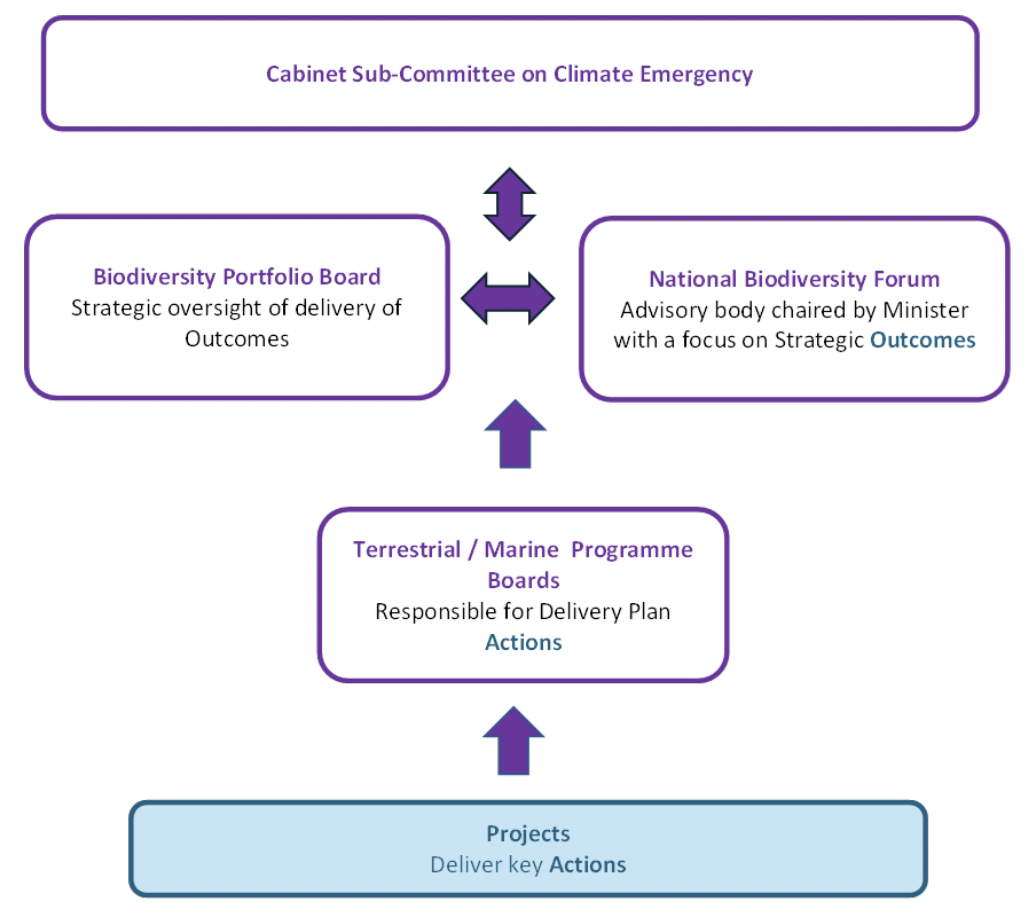 Diagram showing governance structure for biodiversity framework with projects overseen by programme boards, overseen by the biodiversity portfolio board and national biodiversity forum, overseen by the cabinet sub-committee on climate emergency.