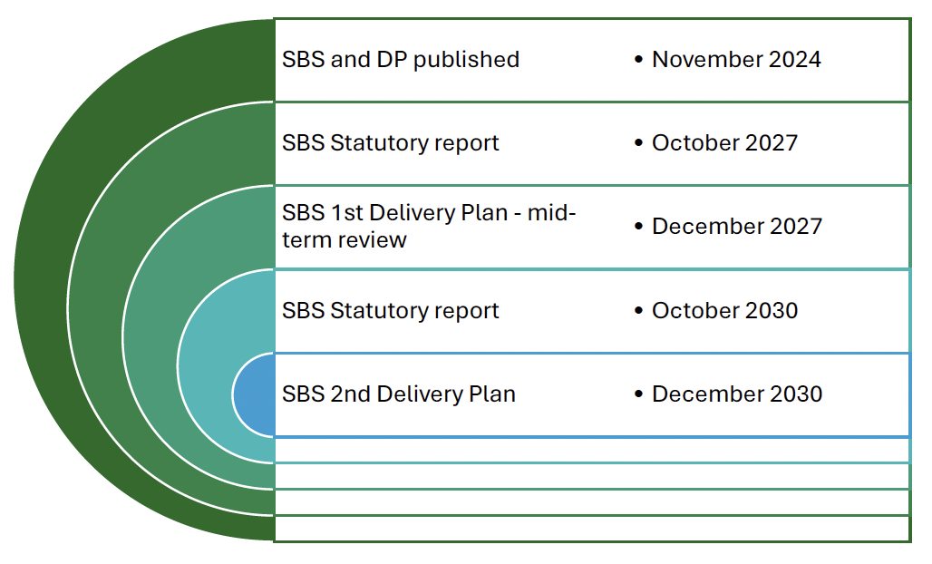 Diagram listing the reporting cycles for the SBS and Delivery Plan, with a statutory SBS reports in 2027 and 2030, and a delivery plan mid term review in 2027, with the 2nd plan published in 2030.